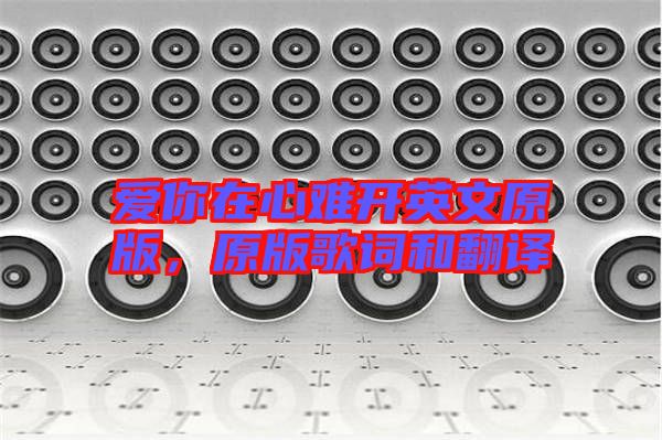 愛(ài)你在心難開(kāi)英文原版，原版歌詞和翻譯