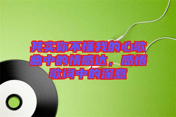 其實你不懂我的心歌曲中的情感達(dá)，感悟歌詞中的深意