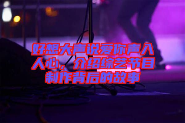 好想大聲說(shuō)愛你聲入人心，介紹綜藝節(jié)目制作背后的故事