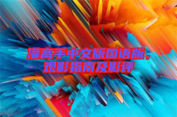 灌高手中文版國(guó)語(yǔ)版，觀影指南及影評(píng)