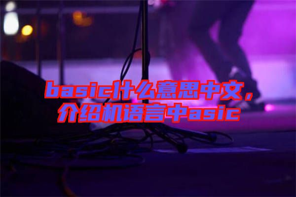 basic什么意思中文，介紹機語言中asic