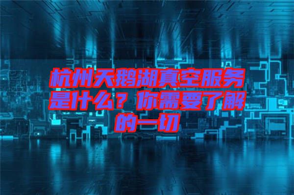 杭州天鵝湖真空服務是什么？你需要了解的一切