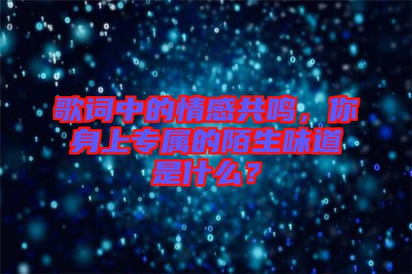 歌詞中的情感共鳴，你身上專屬的陌生味道是什么？