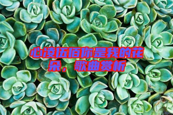 心凌伍佰你是我的花朵，歌曲賞析