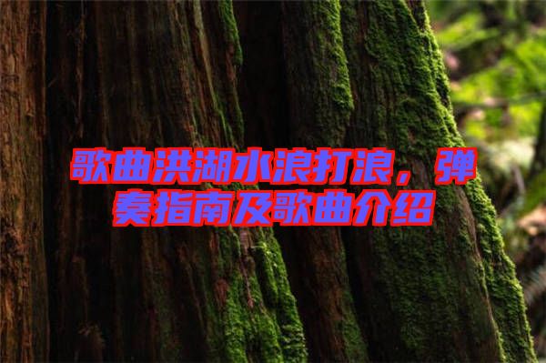歌曲洪湖水浪打浪，彈奏指南及歌曲介紹