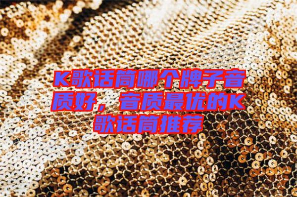 K歌話筒哪個(gè)牌子音質(zhì)好，音質(zhì)最優(yōu)的K歌話筒推薦