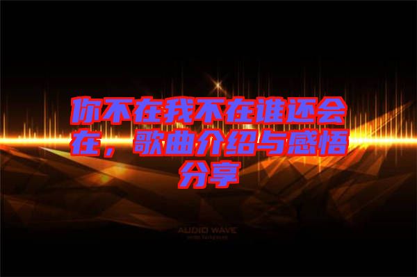 你不在我不在誰還會在，歌曲介紹與感悟分享