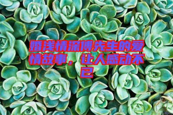 婚淺情深傅先生的愛情故事，讓人感動不已