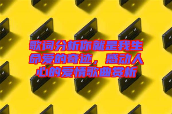 歌詞分析你就是我生命愛的奇跡，感動人心的愛情歌曲賞析