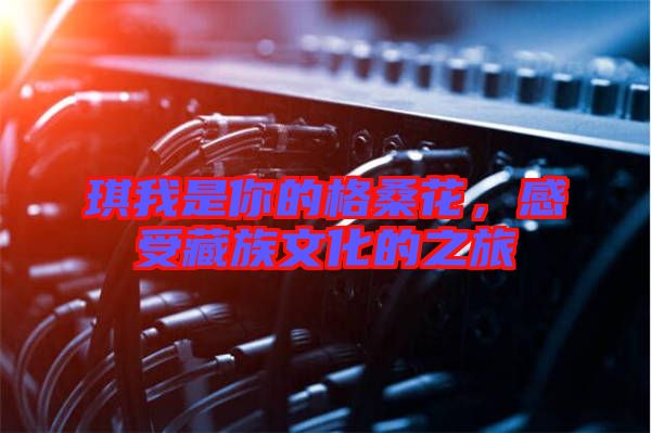 琪我是你的格?；?，感受藏族文化的之旅