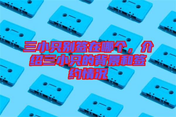 三小只別簽在哪個，介紹三小只的背景和簽約情況