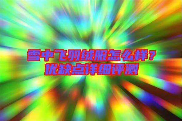 雪中飛羽絨服怎么樣？優(yōu)缺點詳細(xì)評測