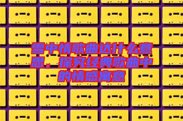 雪中情歌曲達(dá)什么意思，探究經(jīng)典歌曲中的情感寓意