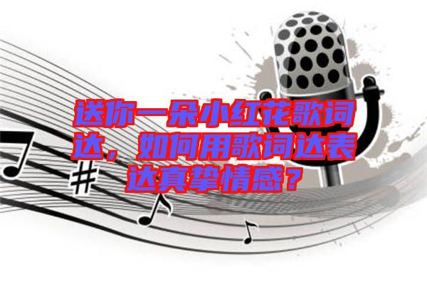 送你一朵小紅花歌詞達，如何用歌詞達表達真摯情感？
