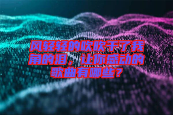 風(fēng)輕輕的吹吹干了我角的淚，讓你感動(dòng)的歌曲有哪些？