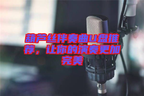 葫蘆絲伴奏曲U盤推薦，讓你的演奏更加完美