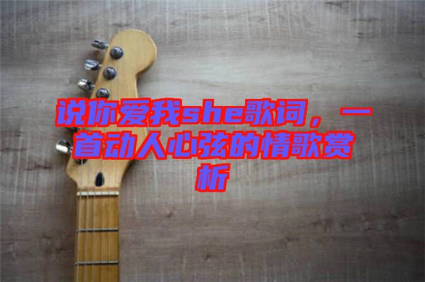 說你愛我she歌詞，一首動(dòng)人心弦的情歌賞析