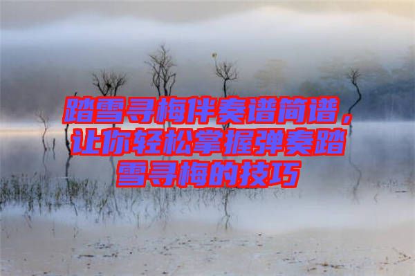 踏雪尋梅伴奏譜簡(jiǎn)譜，讓你輕松掌握彈奏踏雪尋梅的技巧