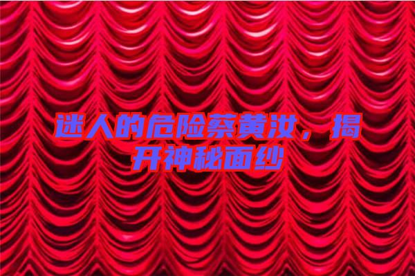迷人的危險(xiǎn)蔡黃汝，揭開神秘面紗