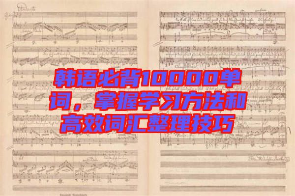 韓語(yǔ)必背10000單詞，掌握學(xué)習(xí)方法和高效詞匯整理技巧