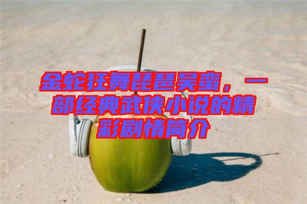 金蛇狂舞琵琶吳蠻，一部經(jīng)典武俠小說的精彩劇情簡介