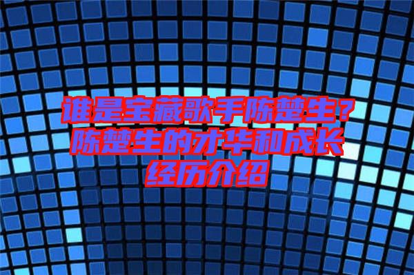 誰是寶藏歌手陳楚生？陳楚生的才華和成長經(jīng)歷介紹