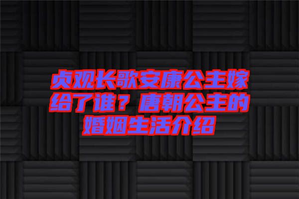 貞觀長歌安康公主嫁給了誰？唐朝公主的婚姻生活介紹