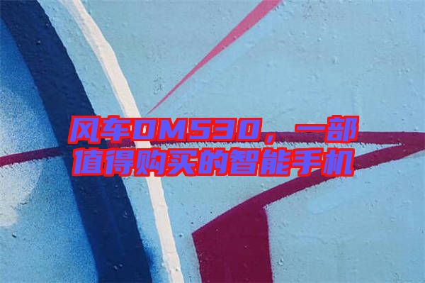 風(fēng)車DM530，一部值得購買的智能手機(jī)