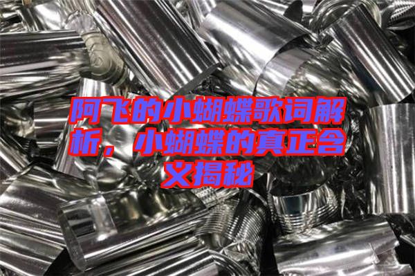 阿飛的小蝴蝶歌詞解析，小蝴蝶的真正含義揭秘