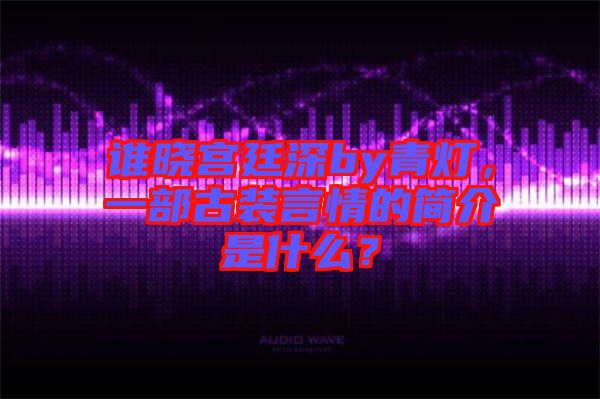 誰曉宮廷深by青燈，一部古裝言情的簡介是什么？