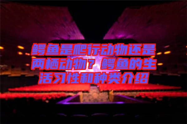 鱷魚是爬行動物還是兩棲動物？鱷魚的生活習(xí)性和種類介紹