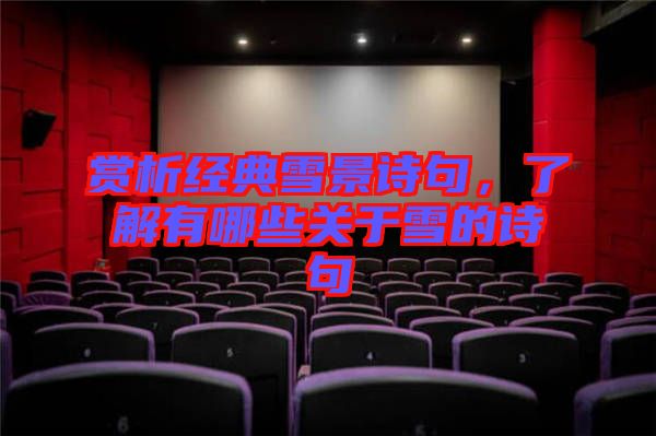 賞析經(jīng)典雪景詩(shī)句，了解有哪些關(guān)于雪的詩(shī)句