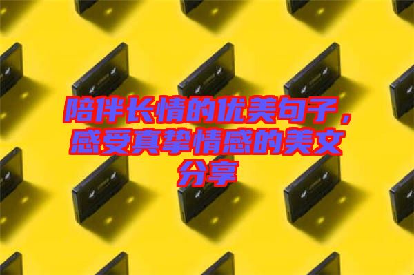 陪伴長情的優(yōu)美句子，感受真摯情感的美文分享