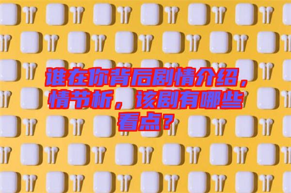 誰在你背后劇情介紹，情節(jié)析，該劇有哪些看點？