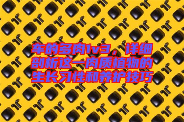 車的多肉1v3，詳細(xì)剖析這一肉質(zhì)植物的生長(zhǎng)習(xí)性和養(yǎng)護(hù)技巧