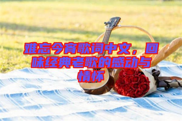 難忘今宵歌詞中文，回味經(jīng)典老歌的感動(dòng)與情懷