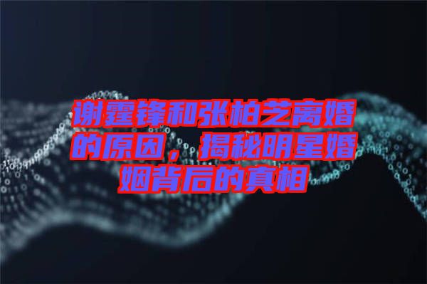 謝霆鋒和張柏芝離婚的原因，揭秘明星婚姻背后的真相