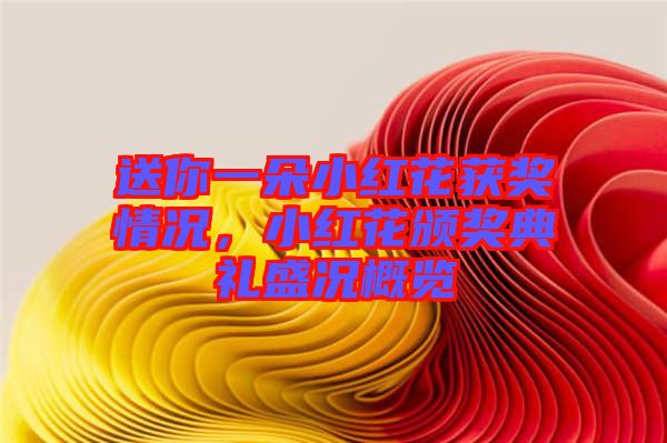 送你一朵小紅花獲獎(jiǎng)情況，小紅花頒獎(jiǎng)典禮盛況概覽