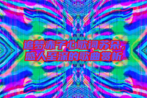 追夢赤子心歌詞蘇朵，感人至深的歌曲賞析