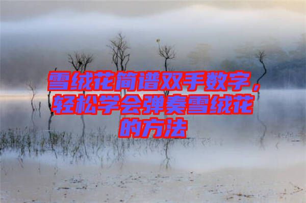 雪絨花簡譜雙手數字，輕松學會彈奏雪絨花的方法
