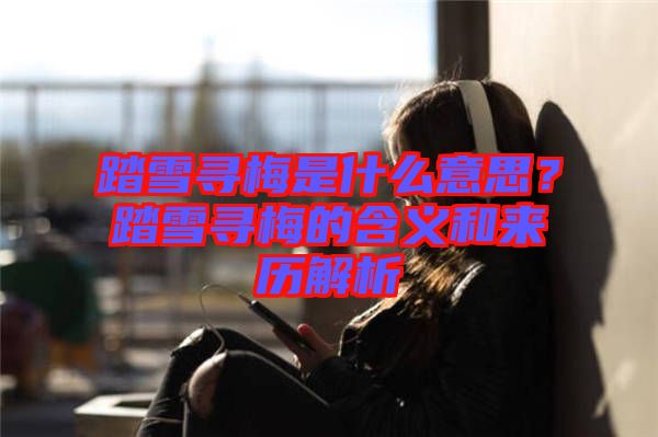 踏雪尋梅是什么意思？踏雪尋梅的含義和來歷解析