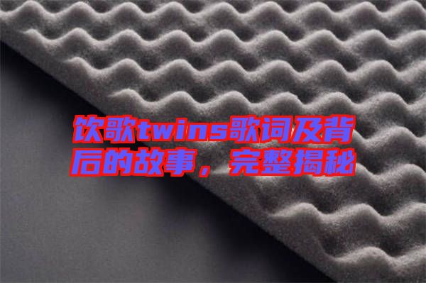 飲歌twins歌詞及背后的故事，完整揭秘