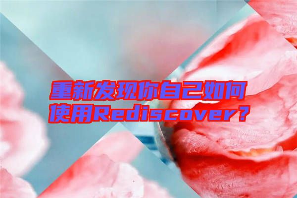 重新發(fā)現(xiàn)你自己如何使用Rediscover？