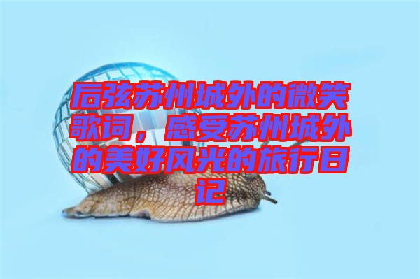后弦蘇州城外的微笑歌詞，感受蘇州城外的美好風(fēng)光的旅行日記