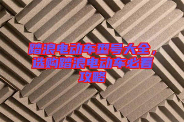 踏浪電動(dòng)車型號(hào)大全，選購(gòu)踏浪電動(dòng)車必看攻略