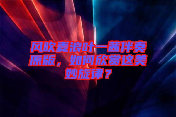 風(fēng)吹麥浪葉一茜伴奏原版，如何欣賞這美妙旋律？