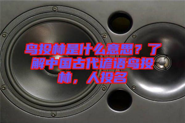 鳥投林是什么意思？了解中國(guó)古代諺語(yǔ)鳥投林，人投名