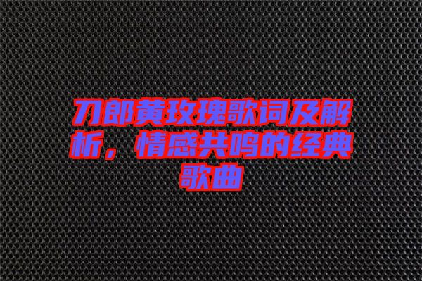 刀郎黃玫瑰歌詞及解析，情感共鳴的經(jīng)典歌曲