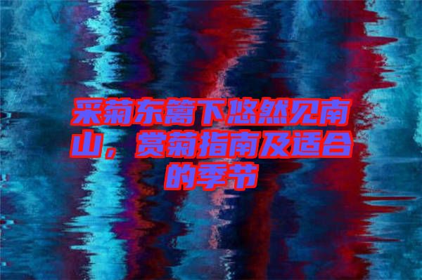 采菊東籬下悠然見南山，賞菊指南及適合的季節(jié)