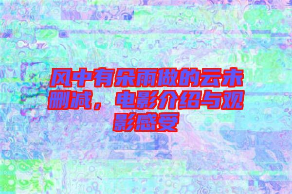 風(fēng)中有朵雨做的云未刪減，電影介紹與觀影感受